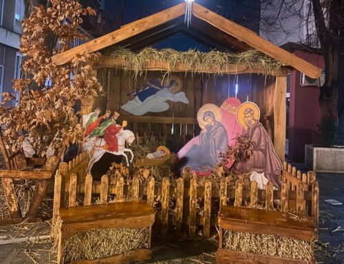 ДУХ ВИТЛЕЈЕМА У СРЦУ ПОДРИЊА: Отворена манифестација „Божићно сеоце” у Бајиној Башти